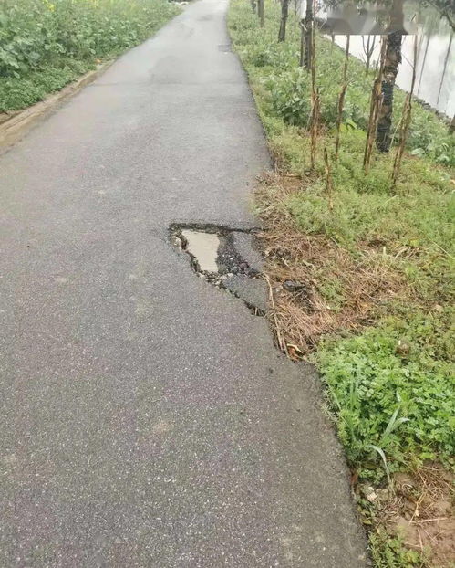 學史力行辦實事，光明村用數據服務暖民心