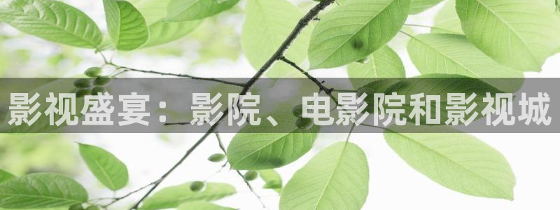 庫(kù)爾勒麥田影城今日放映表：影視盛宴：影院、電影院和影視城